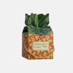 Pine Tart Gift Box 12PCS