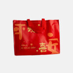 Non Woven CNY Gift Bag (16.8x12.8x4in) [Have a Nice Day] 1PCS