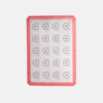 Silicone Bear Macaron Mat